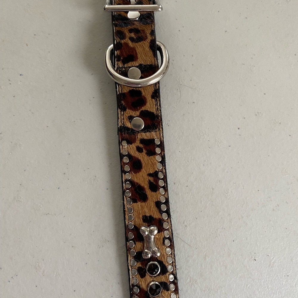 Leopard Print Dog Collar with Silver Accents
